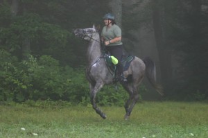 Ace at Genesee undeep
