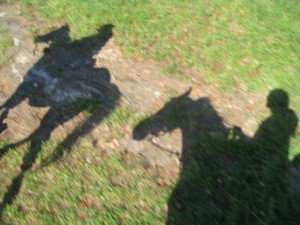VT 100 shadows, photo by Rachel Lodder